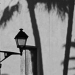 1.0 - An interesting choice for a black and white silhouette. The composition does have the subject near a one-third power intersection. For me, there are just too many fuzzy background distractions. The out-of-focus palm trees completely dominate the image. A portion of the right side of the lamp is lost in the central palm tree trunk. Just based on the image “damage”, I think what we have here is a photograph of a photograph that just doesn’t work.