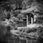 1st - 9.0 - Just a beautiful image that lends itself to a black and white format without losing impact. (Although I’m betting the color version of this image is stunning too.) I think the contrast is spot on. I am impressed with the composition and how the water carries me into the image. Images shot in the mid-day sun often lend themselves to black and white conversion because the harsher light naturally creates more contrast. I am curious if generative fill in Photoshop could take the bush from the tip of land in front of the pagoda. (A tricky proposal considering the reflection. (Which could be cropped away). Very well-done image.