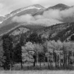 3rd - 9.0 - This is a wonderful choice for a black and white rendering of a landscape. To me the multiple layers makes for an interesting and captivating image. I like how the straight lines, both vertical and horizontal, of the Aspen trees compliment the diagonals of the mountain sides. For me, the clouds are like the cherry on top. I would like to see the Aspens a bit brighter as well as the lower cloud layers to add more contrast and better-defined layers. For me, clouds should be white and not grey. I also think a more contrasting and moody sky would add that much more drama. A nice capture with a ton of possibilities.