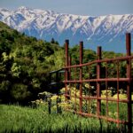 9.0 - The sharp leading lines in the fence create impact and lead my eye deeper into the image. I like the placement in the composition which I feel is a creative approach. The fence, the hills and the sky create depth. The image was shot in harsh light which detracts from the overall serenity.