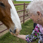 5.8 - More visibility of the hand and the horse mouth is needed to make the image more expressive, need to lower down the POV which will also reduce distortion of the hand