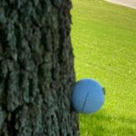 4.0 - Incorrect focus point, it is visually disturbing to see more than half of the image is covered with unfocused tree trank and an unfocussed ball, the image lacks the ambience of the incident