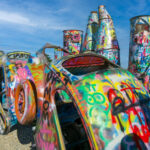 7.5 - Colorful photo of bugs w/pretty lovely sky; has depth