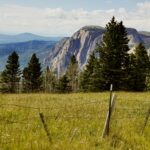 3rd - 9.0 - This image is sharp throughout from the fence in the foreground to the mountains in the rear,