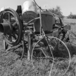 7.0 - Nice subject for black and white. Focus is good. For me it is cropped too tight with both top and bottom cropped off. Give it more room on the right, top and bottom.