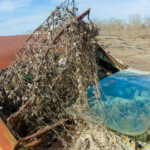 6.0 - It took a while for me to see what is in this image. For me, the story is more about sad decay than anything humorous.