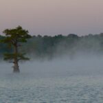 5.94 - I like how the tree is standing alone in the fog. It is well separated from the background. The fog fits well with the Weather topic. This does appear to need more exposure. Looking at the histogram, there are no pixels for a lot of the right side. There is a lot of noise, especially in the background. You probably could have increased the exposure by at least a stop. It looks like your focus is in the water closest to you instead of on the tree which is not sharp. You might consider cropping off the right side to move your subject a little closer to the center of the frame.