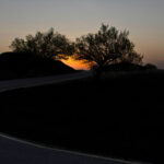 1st - 10.0 - A unique composition of a sunset. The road's white edge line forms a great leading line to the sunset area framed by the two trees. Having the ground very dark and the mountains in silhouette adds great emotion and appeal. Very well done.