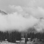 5.28 - The layer of clouds shows as a calm weather scene. I do find it interesting how the image is divided quite evenly into 3 sections, trees, cloud, and mix of clouds and mountains. This does not appear to be very sharp. Increasing the exposure of the white area could add more interest.