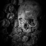 3rd - 9.0 - This is a good image for black and white. It adds interest for me, to have the light hittiing the skull. I would like to see the image lightened up a bit more for more detail and would also like to see more on the left.