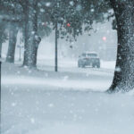 6.60 - All those snow flakes coming down do make this look like a blizzard. I do like the position of the car appearing to be moving into the frame. The railing on the left side probably doesn’t need to be included. I would probably crop it off and possibly the area between the tree and the border on the right edge. You probably might want to keep most of the tree since it works well to frame the car between the trees. It depends on how you feel about leaving the scene as it is, but I would probably delete the red lights shining through the trees. I do like the other light showing with the car.