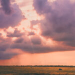 5.94 - I like the title. If you had a few more cows, you could add some more “O”s. The star burst from the sun is a nice touch. The color tint does suggest that there could be smoke in the sky. It probably would be hard to remove that but it does not add to the Moood of the storm on the horizon. I would like to see the complete storm action included in the image even if you might lose a cow or two.