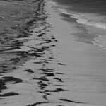 7.0 - Interesting subject with the water coming up and the seaweed on the shore. I would like to see more contrast in. Try cropping in to make it more of a vertical shot.