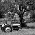 7.0 - Focus is good. Exposure works. I would like to see more below, less on top. A softer background could help the tractor to stand out.